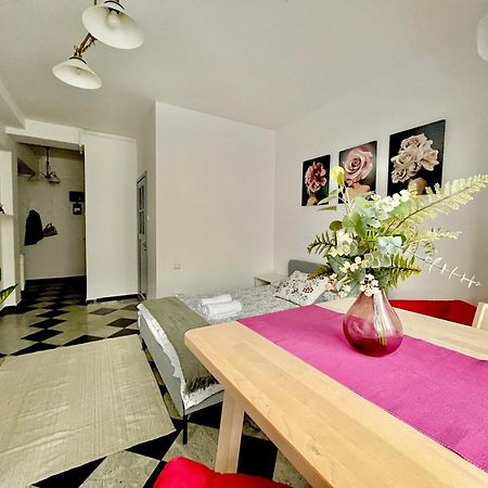 Victoriei Spacious Studio Бухарест Экстерьер фото