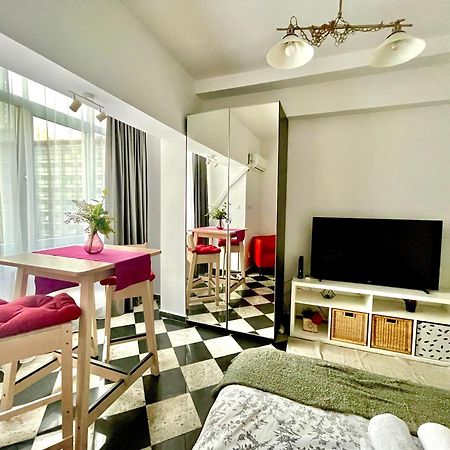 Victoriei Spacious Studio Бухарест Экстерьер фото
