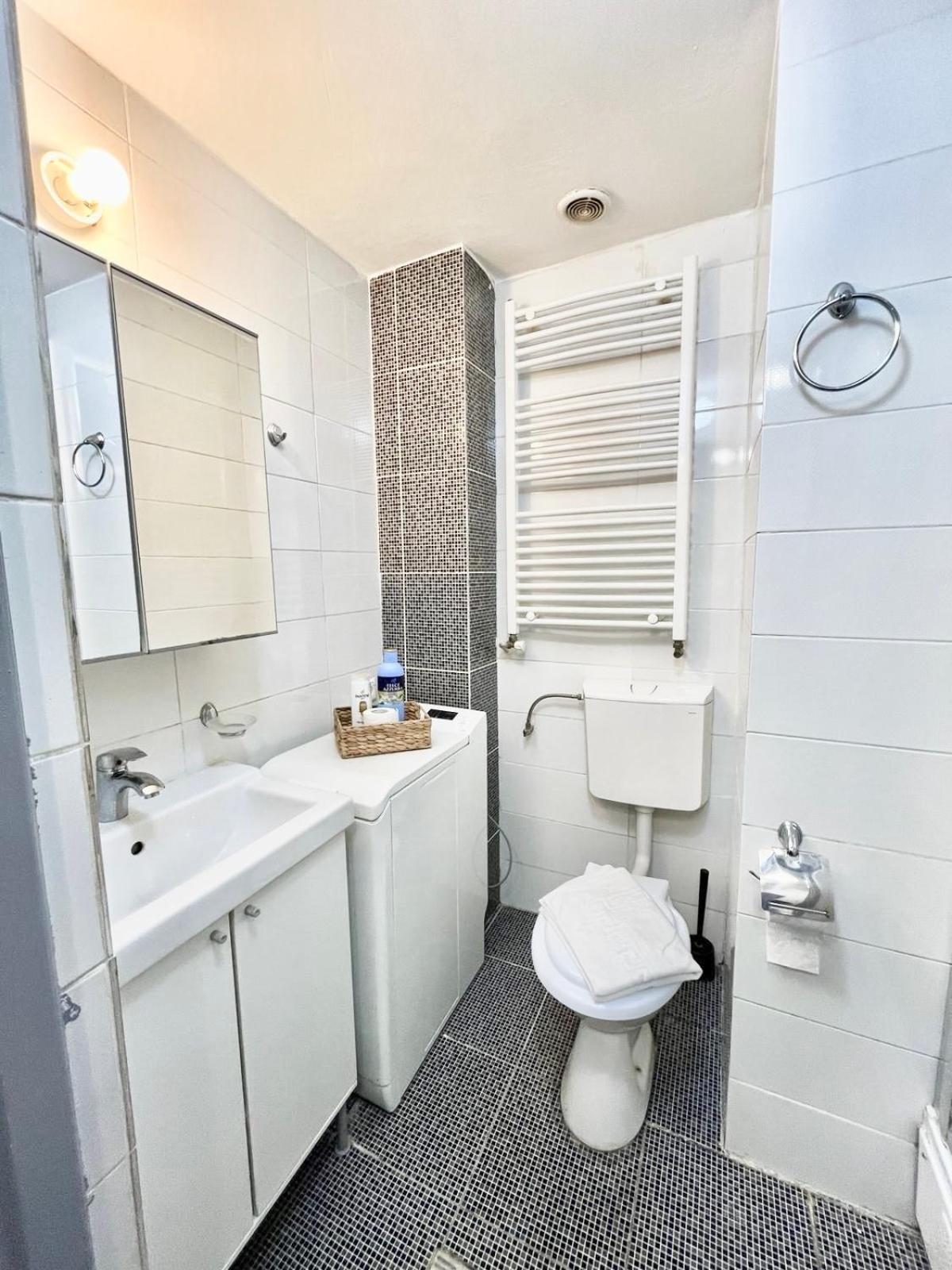 Victoriei Spacious Studio Бухарест Экстерьер фото