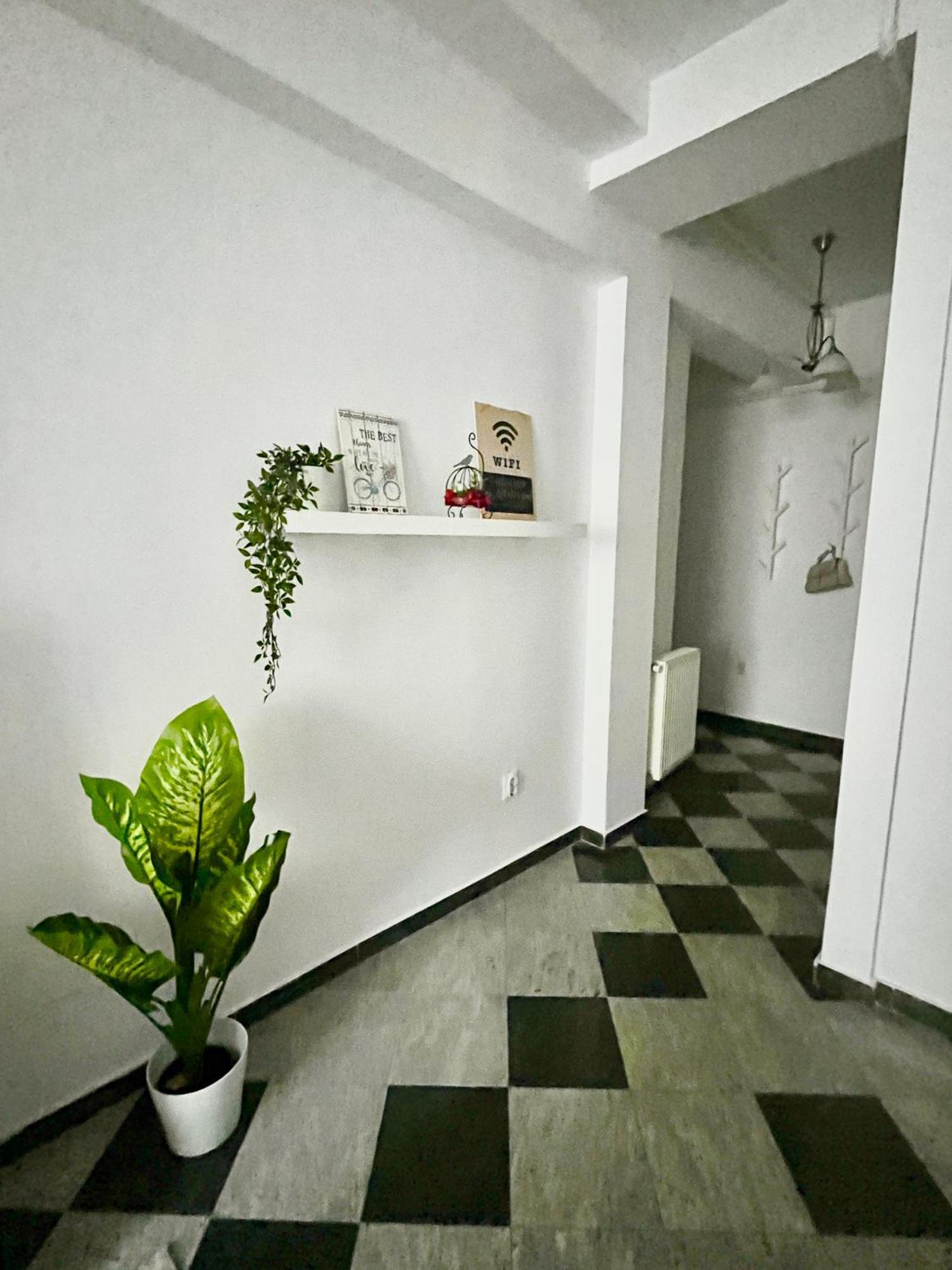 Victoriei Spacious Studio Бухарест Экстерьер фото