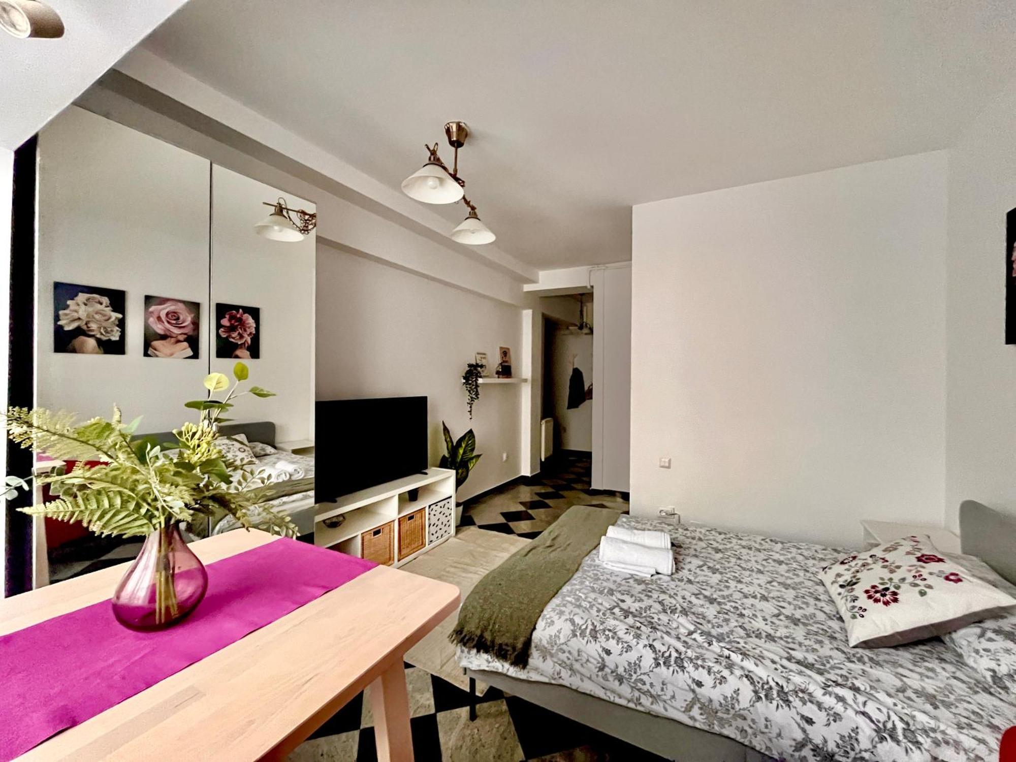 Victoriei Spacious Studio Бухарест Экстерьер фото